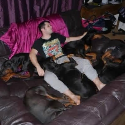 The Welsh Dog Whisperer, cuddling his dobermanns at his home for residential dog training in Swansea