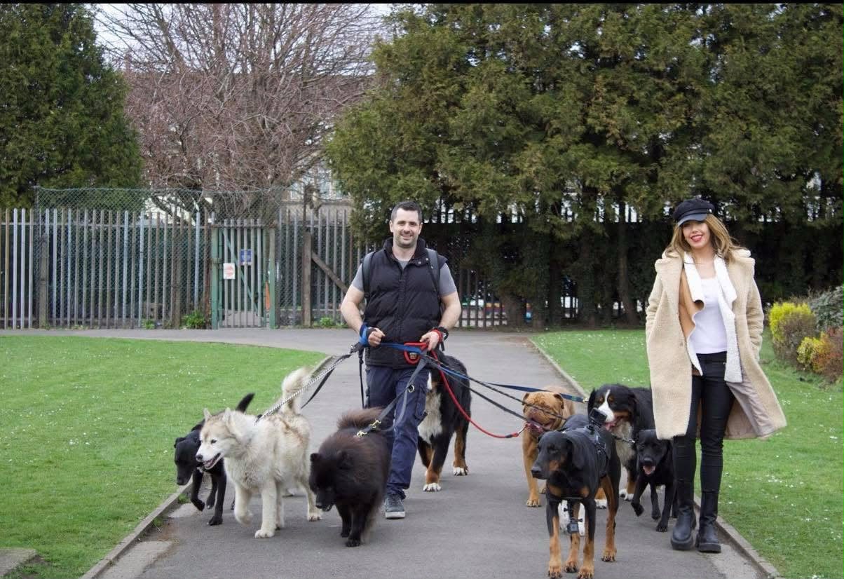 Dog Behaviourist on BBC show Hayley Goes..